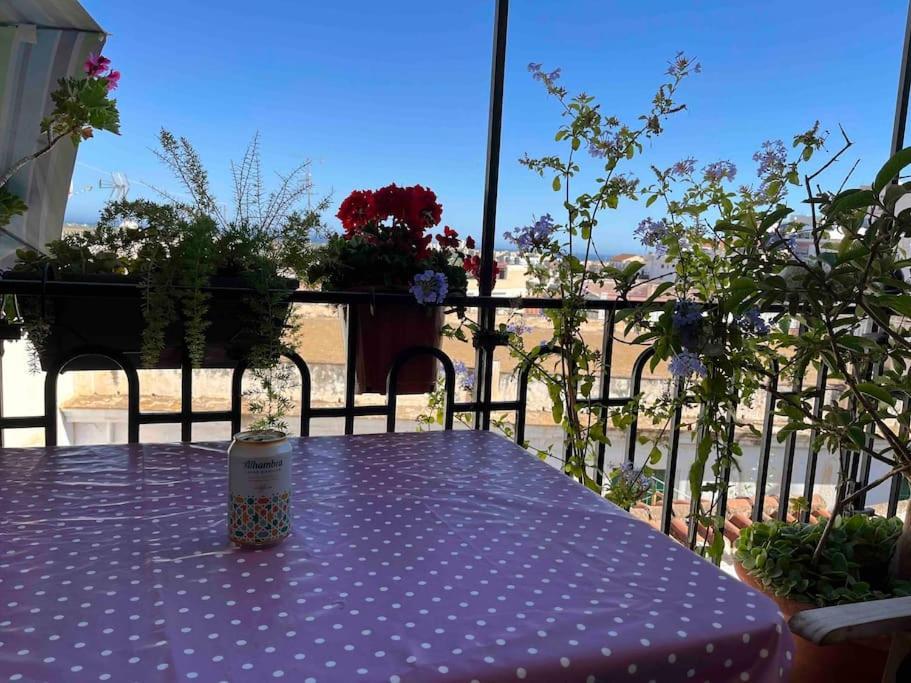 Amazing Sea And Mountain View! Casita Pinata Appartement Salobreña Buitenkant foto
