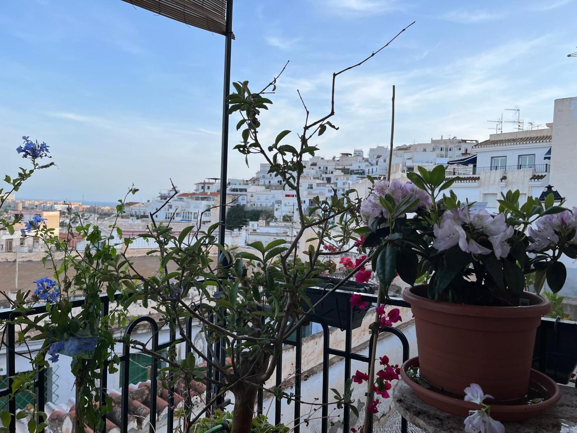 Amazing Sea And Mountain View! Casita Pinata Appartement Salobreña Buitenkant foto